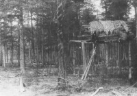 Магаданская область - Эвенский лабаз в устье ключа Джел. 1942