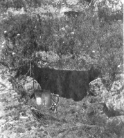 Магаданская область - Верхне-Инский разведрайон. Гранитная пещера в районе ключа Чайка. 11.07.1943