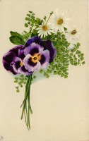 Ретро открытки - Букет из фиолетовых анютиных глазок и ромашек