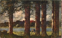Ретро открытки - Стволы деревьев, сельский дом и озеро на закате