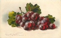 Ретро открытки - Красный виноград