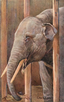Ретро открытки - Слон