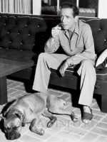 Актеры, актрисы - кино и театра - Актер Хамфри Богарт, 1940-е годы