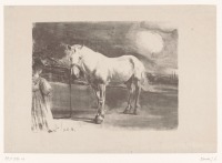 Картины - Жак-Эмиль Бланш. Девочка с белой лошадью