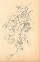 Ретро открытки - Розы и ветка вишни