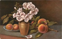 Ретро открытки - Мари Голей. Белые цветы в вазе и персики