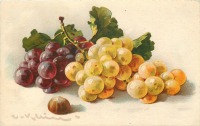 Ретро открытки - Красный и белый виноград