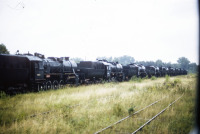 Железная дорога (поезда, паровозы, локомотивы, вагоны) - Паровозы серии ТЭ на базе запаса