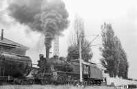 Железная дорога (поезда, паровозы, локомотивы, вагоны) - Паровоз серии Су250-48 в депо Симферополь