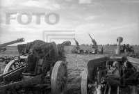 Войны (боевые действия) - Брошенные орудия окруженных немецких войск юго-западнее г.Оппельн в ходе наступления на Берлин.
