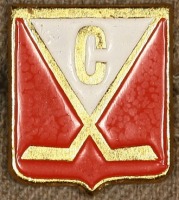 Медали, ордена, значки - Членский Знак Хоккейного Клуба 