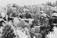 Военная техника - Итальянцы возле полевого орудия среди зарослей кактусов в Тунисе, 31 марта 1943 года.