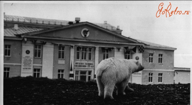 Мурманская область - Гремиха.Нежданный гость.