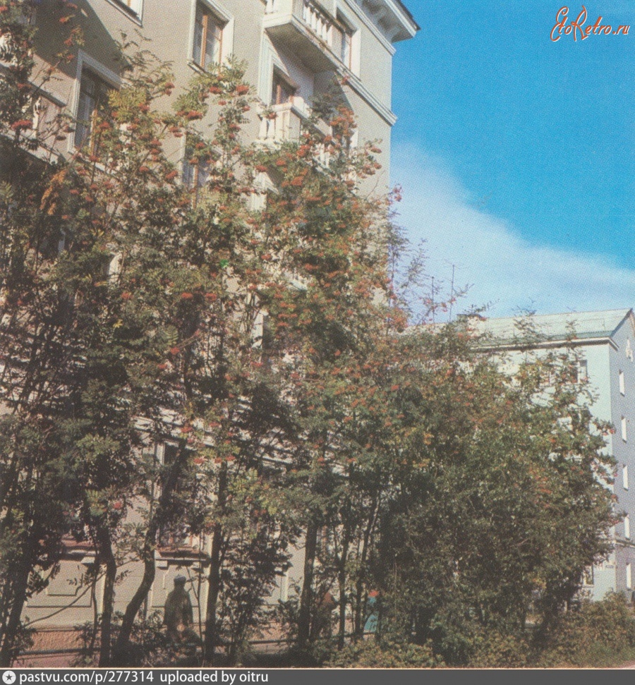 Мурманск - Ул. Профсоюзов, д. 7 1974—1976, Россия, Мурманская область, Мурманск