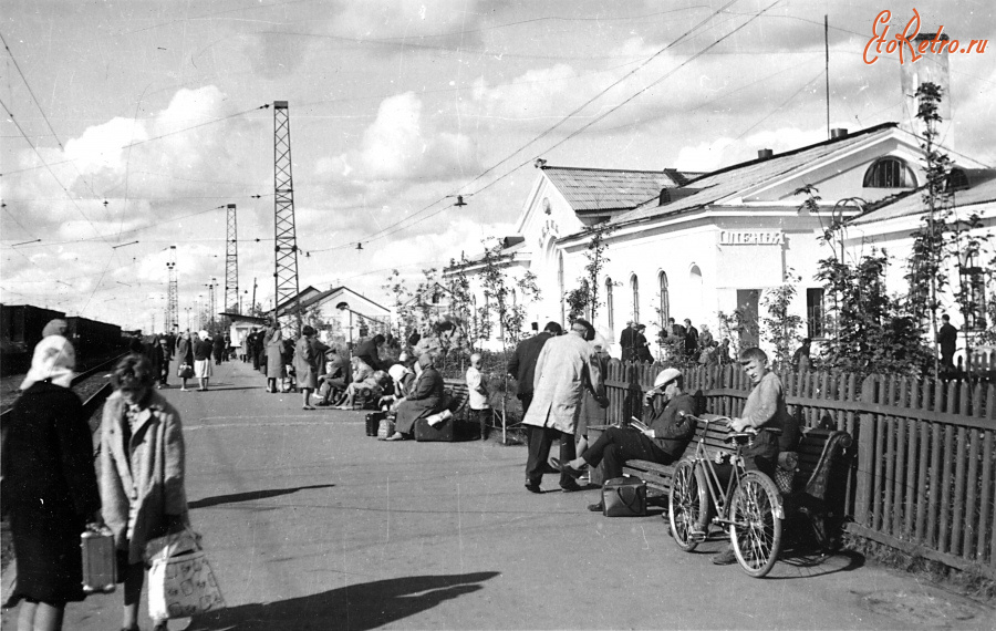 Оленегорск - Станция Оленья.