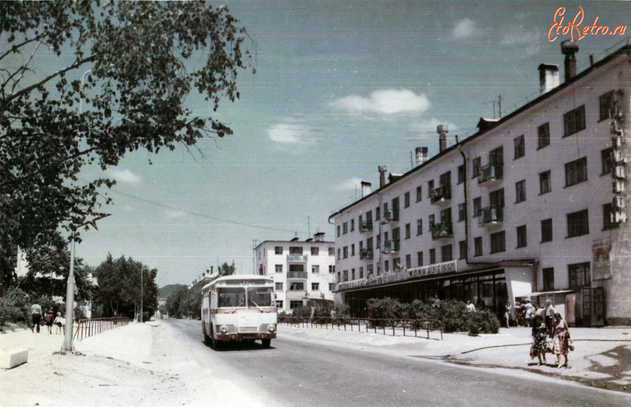 Кавалерово - Улица Арсеньева.