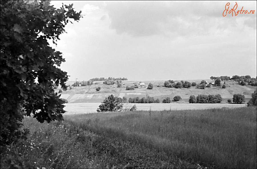 Михайлов - Вид на с. Старое Киркино. Михайловский р-н.