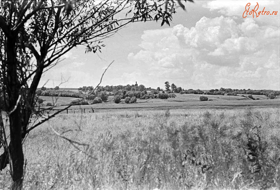 Михайлов - Окрестности с. Старое Киркино Михайловского р-на.