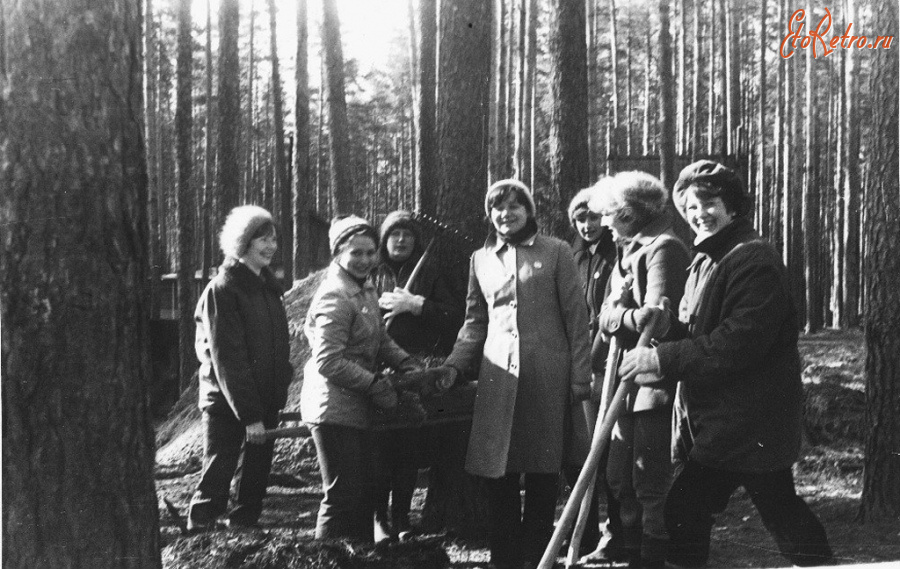 Спасск-Рязанский - Субботник в п/л Сумбулово.