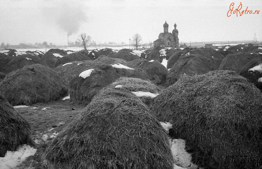 Спасск-Рязанский - Село Ижевское. Копны сена в поле за церковью Успения Пресвятой Богородицы.
