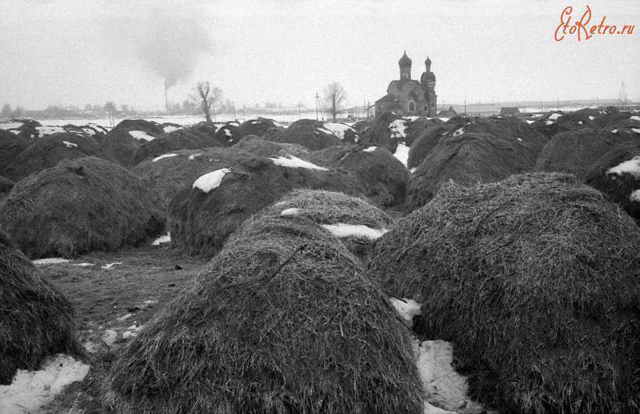 Спасск-Рязанский - Село Ижевское. Копны сена в поле за церковью Успения Пресвятой Богородицы.
