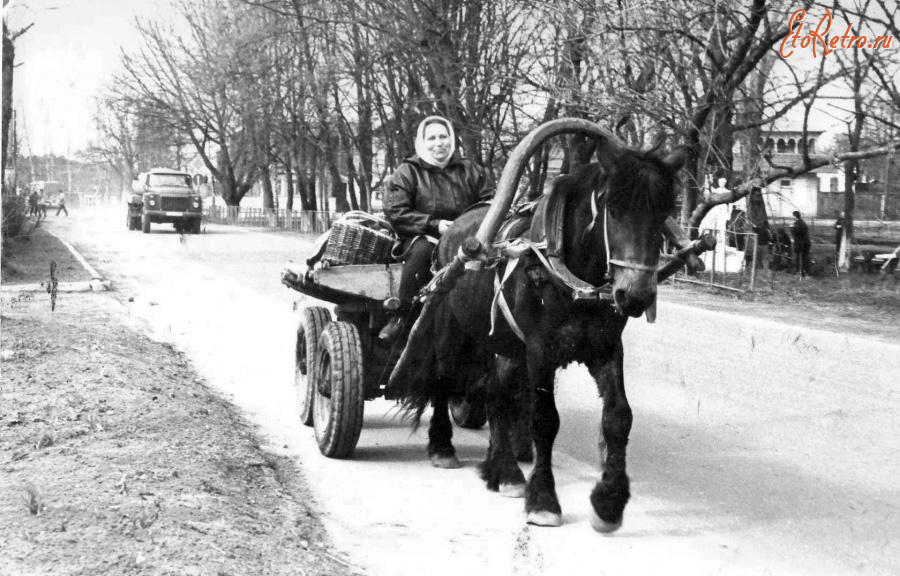 Спас-Клепики - На ул. Просвещения