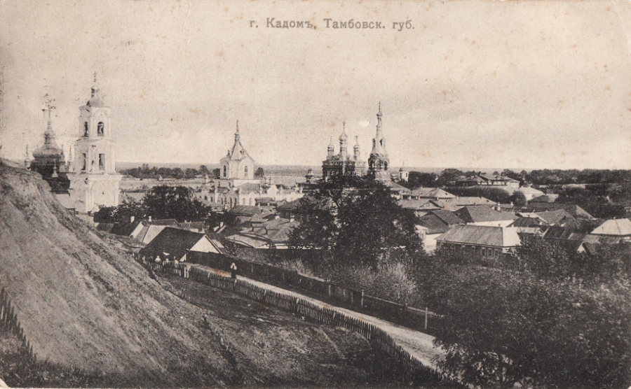 Кадом - Кадом. Вид на Милостиво-Богородицкий женский монастырь и Димитриевский собор с Вознесенского холма.