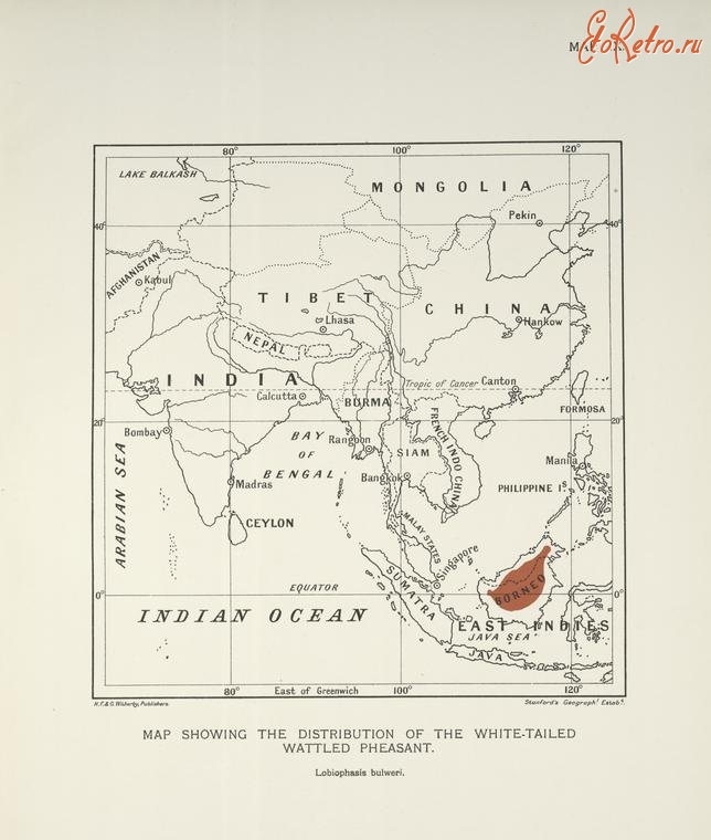 Разное - Карта распределения белохвостого фазана, 1918-1922