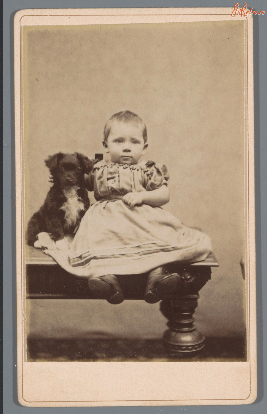 Разное - Портрет мальчика с собачкой