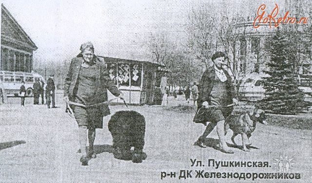 Луганск - После выставки собак