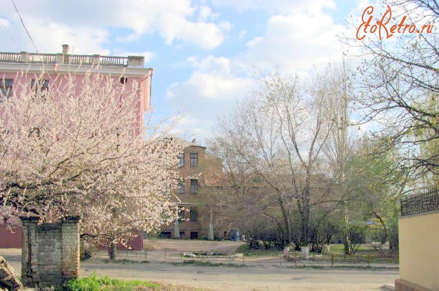 Луганск - 7-я школа.  В цвету