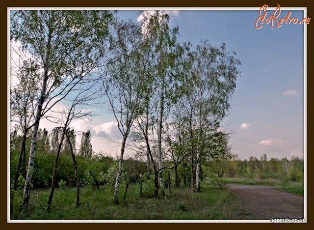 Луганск - Дендопарк в Луганске.