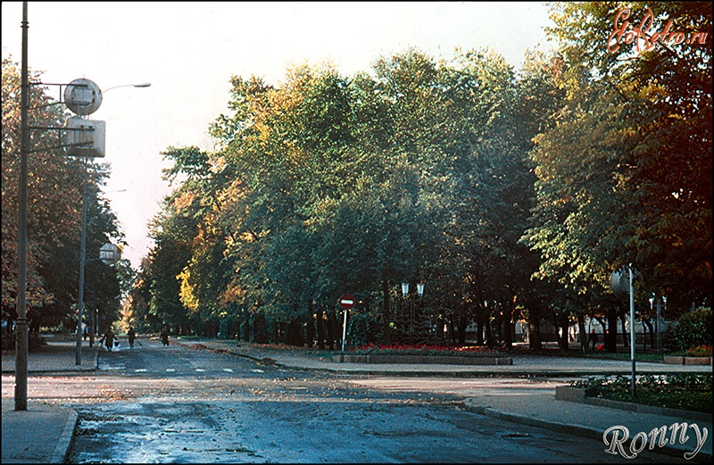 Старый бульвар. Житомир бульвар. Житомир фото города ретро.