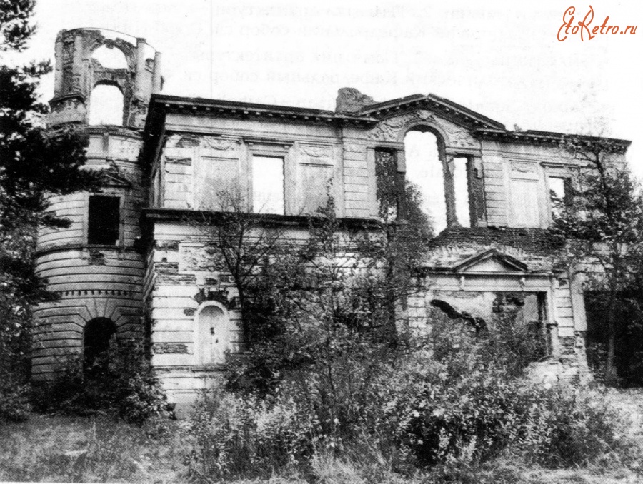 Житомир - Село Денеши. Руины дворца Терещенко Украина , Житомирская область
