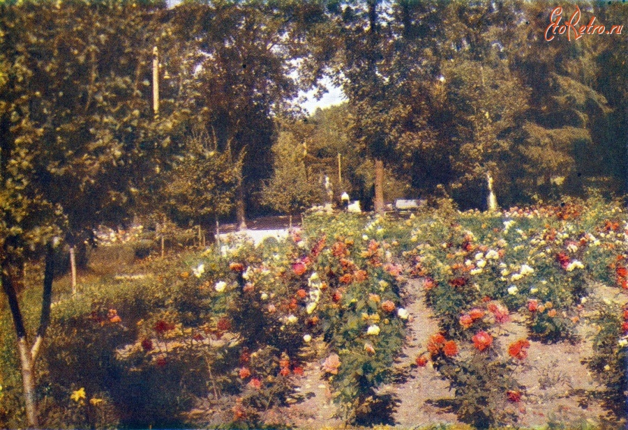 Кисловодск - Площадка роз