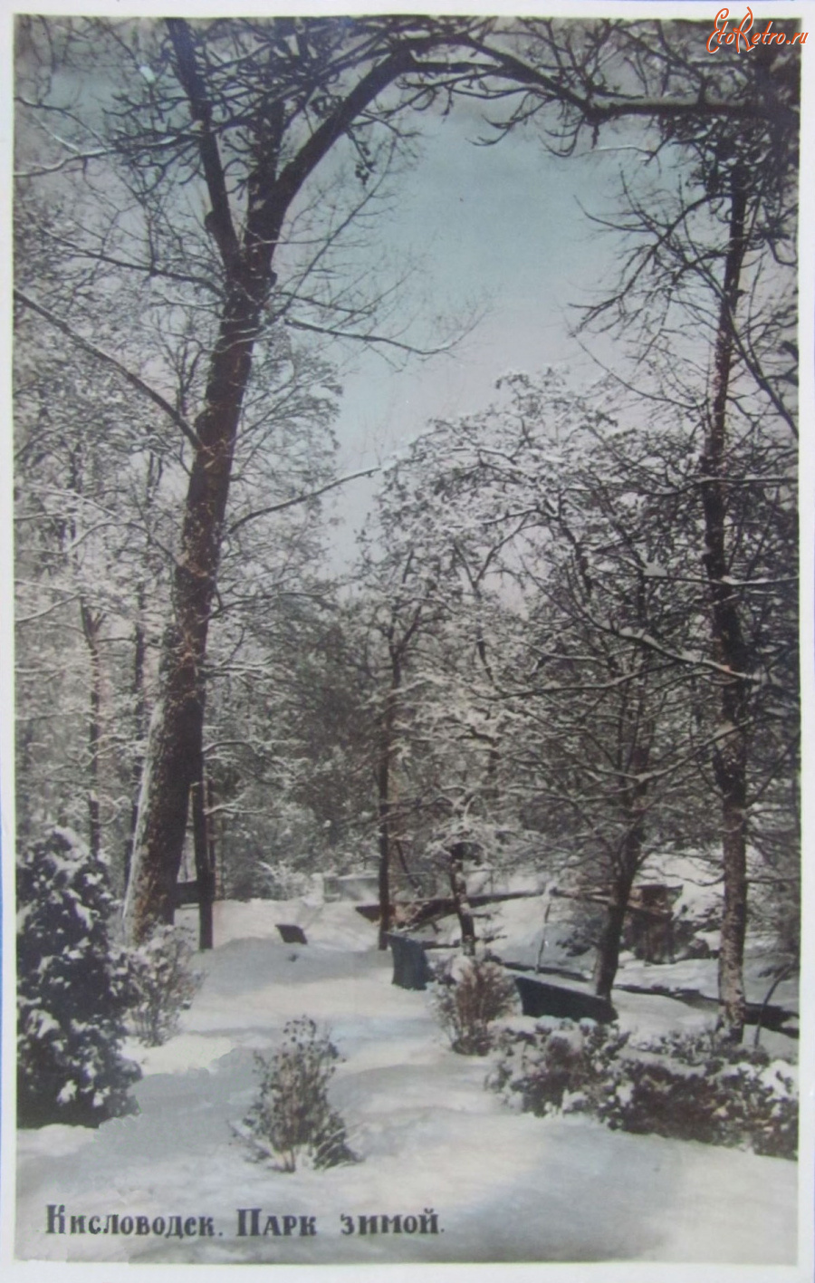 Кисловодск зимой (67 фото) »