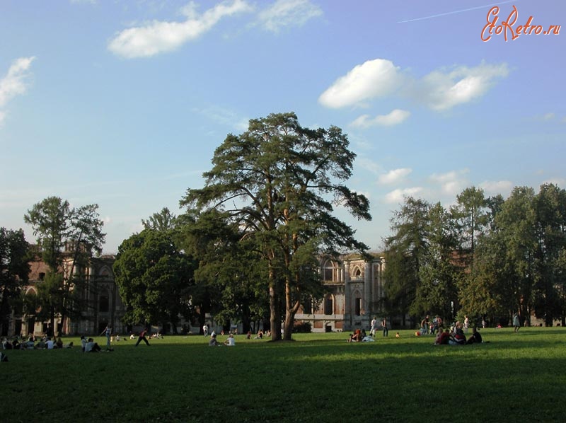 Москва - Царицыно. Дерево на Дворцовой поляне