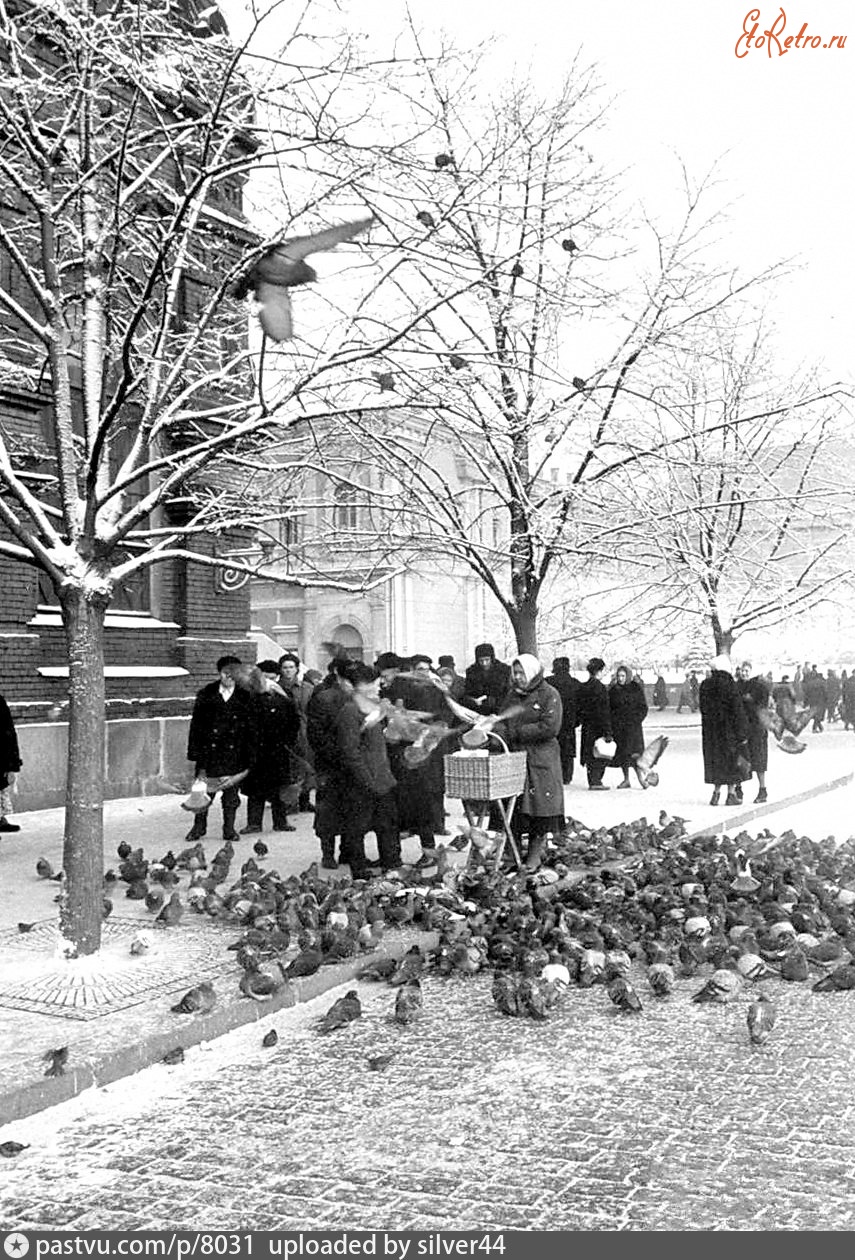 Москва - У Исторического музея 1959, Россия, Москва,