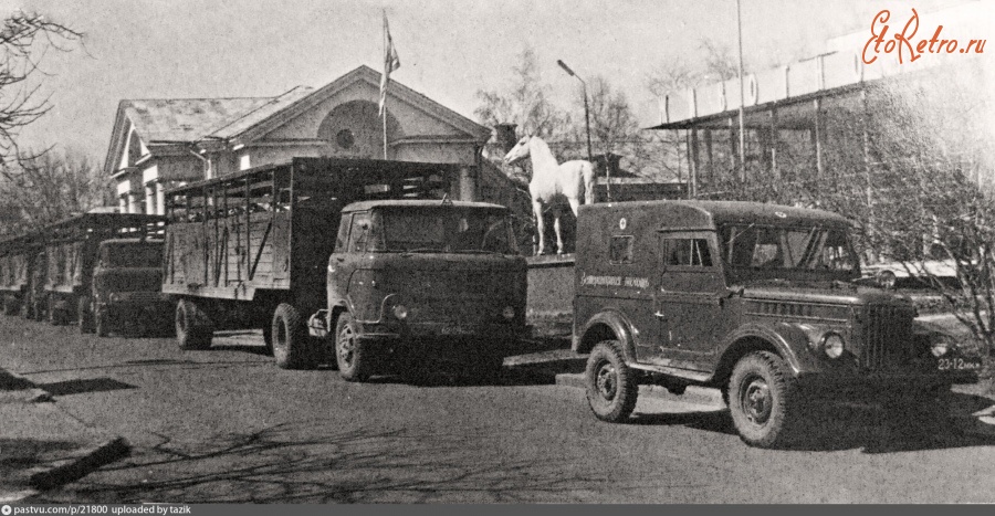 Москва - У павильона животноводства 1967—1970, Россия, Москва, СВАО, Останкино, ВДНХ