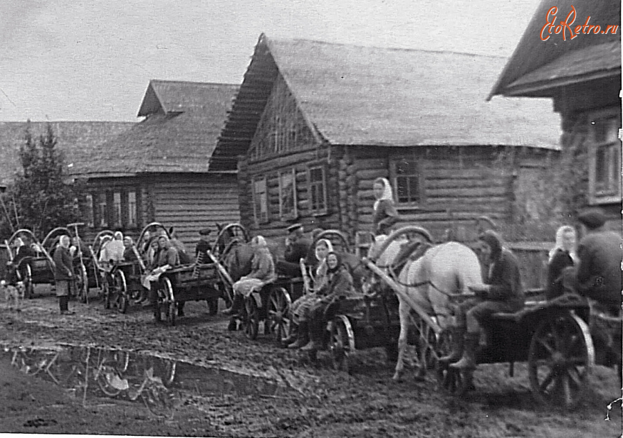 Максатиха - Максатихинский район. Деревня Федорцево.