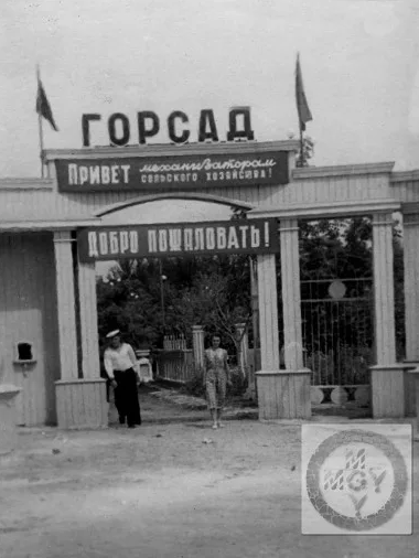 Богородицк - Город Богородицк. Горсад. 1950 год.