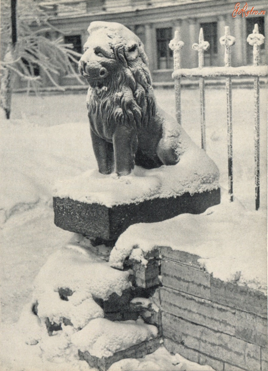 Львы на свердловской набережной фото