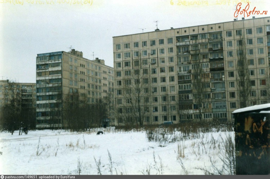 Санкт-Петербург - Улица Подвойского 48 корп. 2. Тополя-свечи