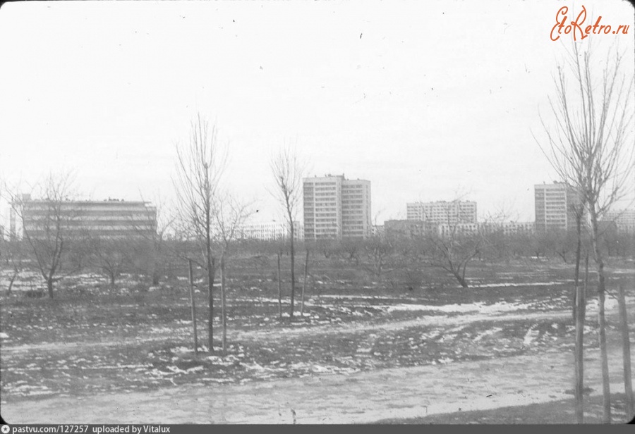 Фото пулковское шоссе старые