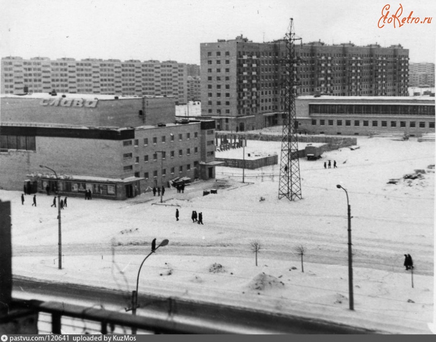 Старые фотографии купчино петербурга