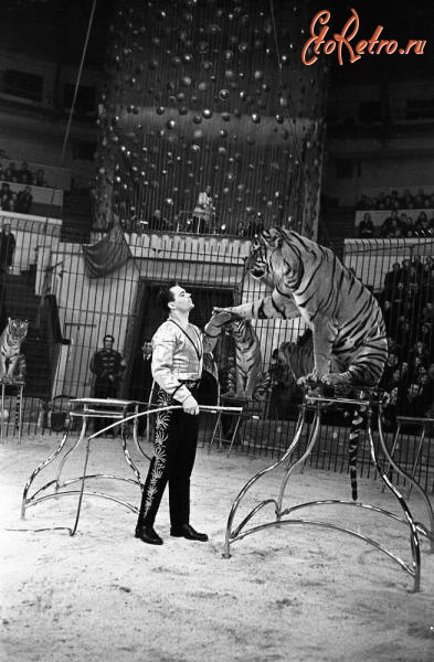 Санкт-Петербург - Гастроли французского цирка в СССР. Дрессировщик тигров Шарль Бауман