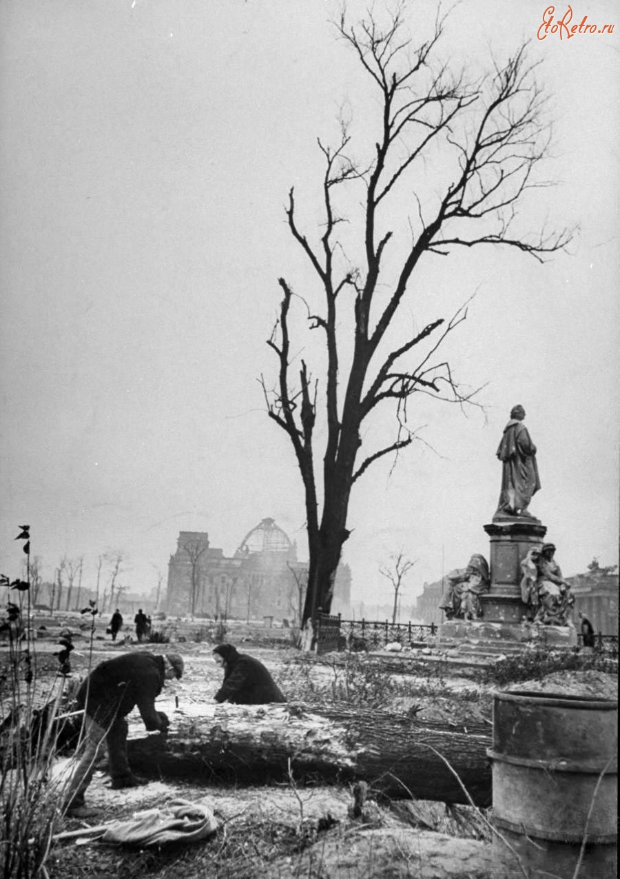 Берлин - Тиргартен (нем. Tiergarten — дословно «сад животных», т. е. «зоосад»)