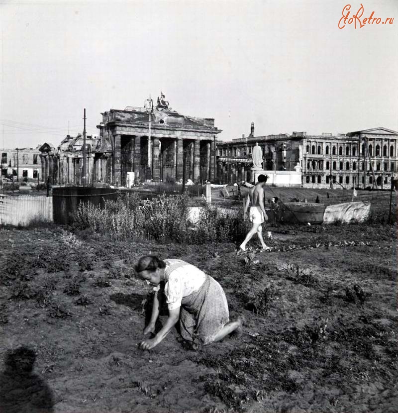 Берлин - Германия, Берлин, 1947 год - Женщина, занимающаяся посадкой огорода прямо возле Бранденбургских ворот