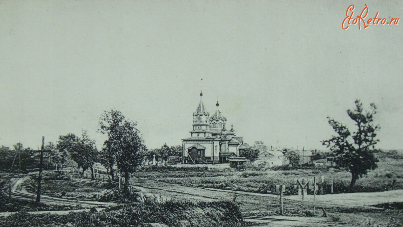 Волынская область - с. Рачин. Волинська обл. Дерев