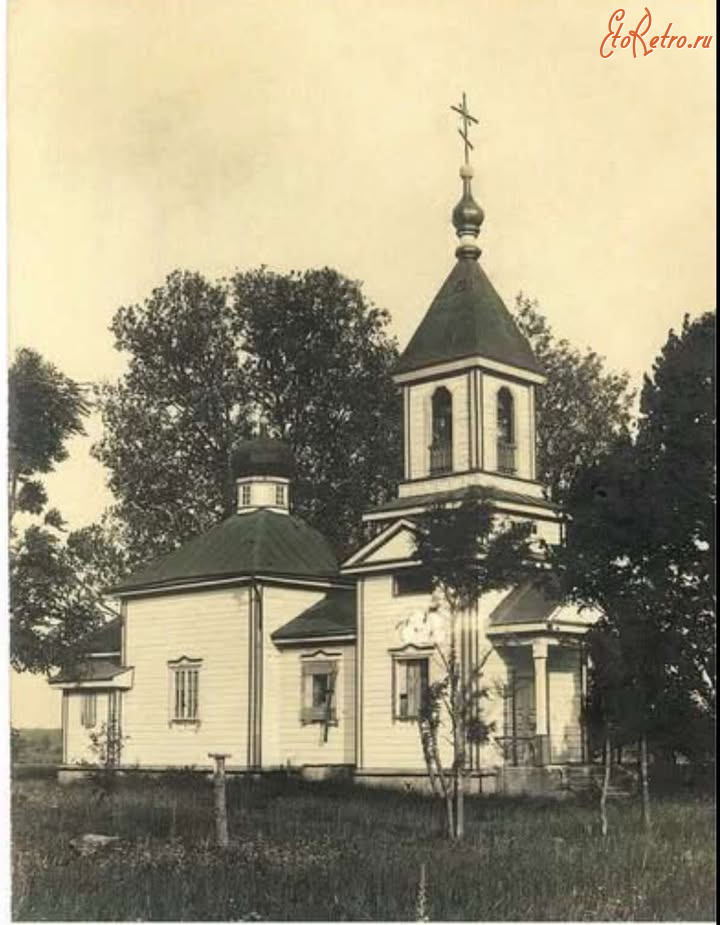 Волынская область - с. Гончий Брід. Волинська обл. Дерев
